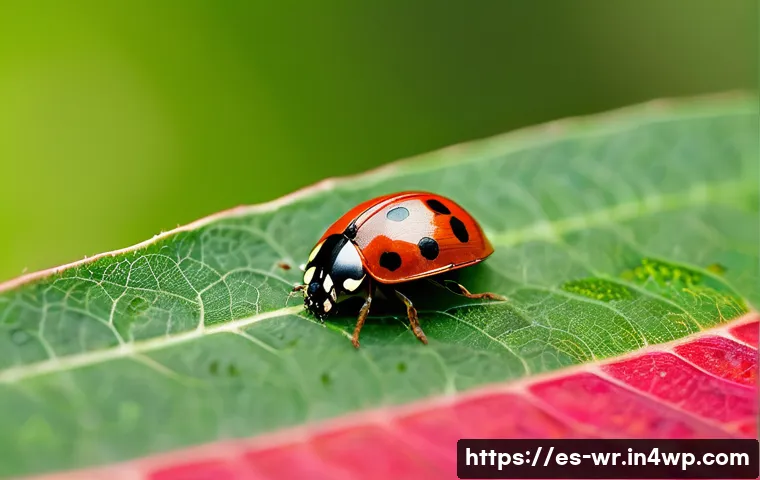 옥상 정원에서의 생물학적 방제 방법 - **Prompt:** A close-up shot of a vibrant, healthy green plant leaf. On the leaf, a bright red ladybu...
