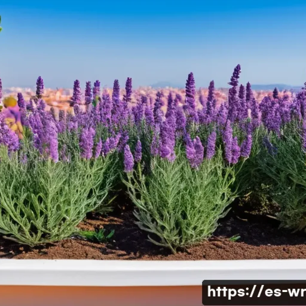 옥상 정원에서의 생물 다양성 증진 방법 - A vibrant rooftop garden in a Mediterranean urban setting in Spain, featuring native plants such as ...