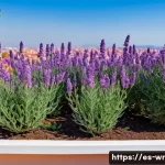 옥상 정원에서의 생물 다양성 증진 방법 - A vibrant rooftop garden in a Mediterranean urban setting in Spain, featuring native plants such as ...