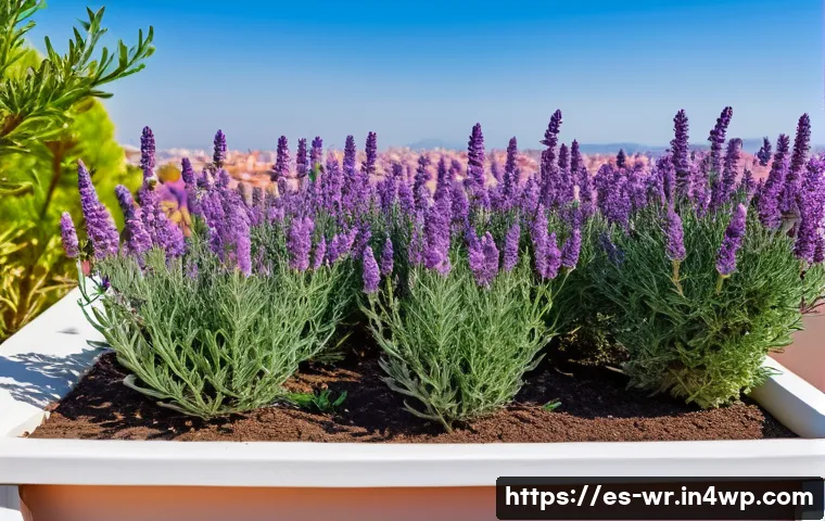옥상 정원에서의 생물 다양성 증진 방법 - A vibrant rooftop garden in a Mediterranean urban setting in Spain, featuring native plants such as ...