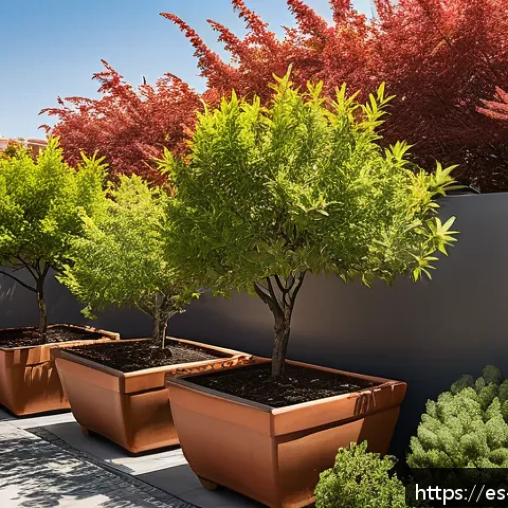 옥상 정원에서의 수목 관리 방법 - A rooftop garden scene in a sunny urban setting during late spring, featuring medium-sized potted tr...