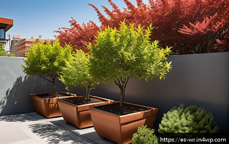 옥상 정원에서의 수목 관리 방법 - A rooftop garden scene in a sunny urban setting during late spring, featuring medium-sized potted tr...