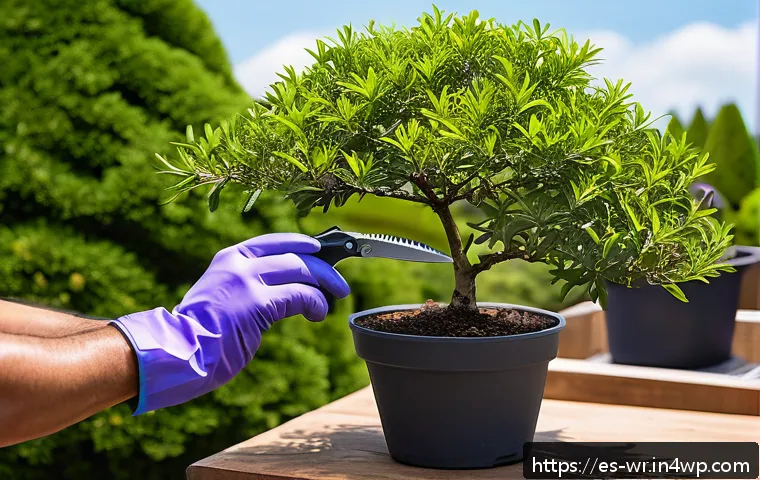 Guía esencial para el cuidado de árboles en jardines de azotea: consejos prácticos para un oasis urbano saludable 3 옥상 정원에서의 수목 관리 방법 관련 이미지 1