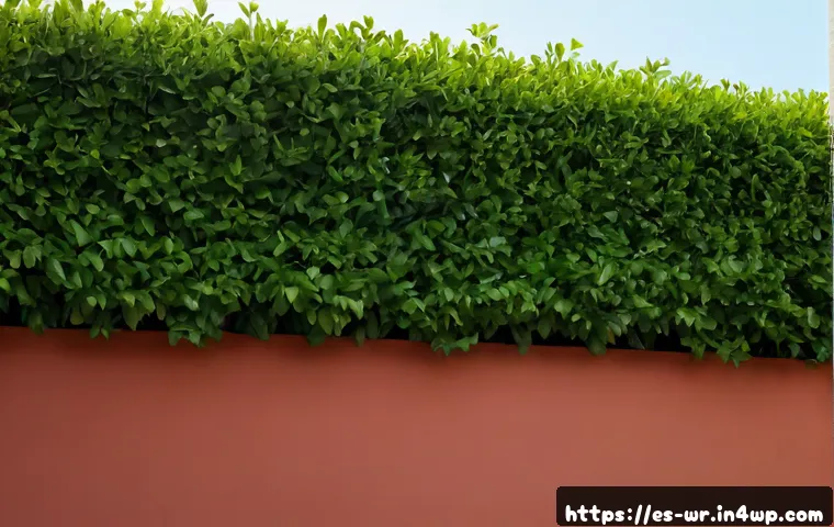 Cómo definir el tema de un jardín en la azotea sin superar el presupuesto ni comprometer la cubierta 4 옥상 정원 설계 시 전체적인 테마 설정 방법 관련 이미지 2